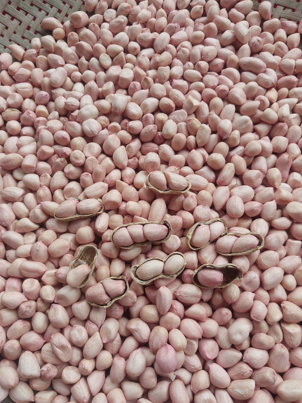 Lạc nhân bóc vỏ 1kg